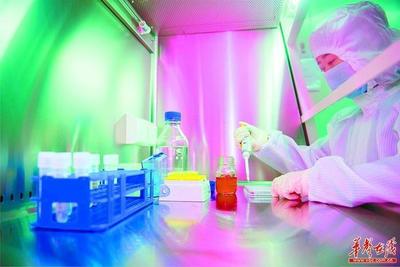 科技創新引領生物制藥研究與生產的新篇章